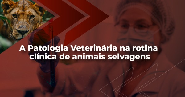 Domine a rotina clínica da Patologia Veterinária em animais selvagens no PBL Online Gratuito