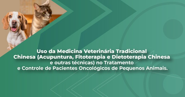 Como a Acupuntura Veterinária pode transformar a prática clínica: participe do Acupuntura PBL Qualittas.