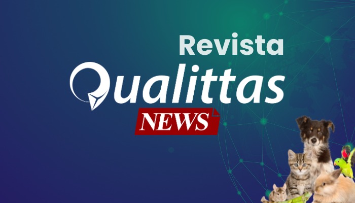 Aula da Semana: Núcleo São Paulo/SP