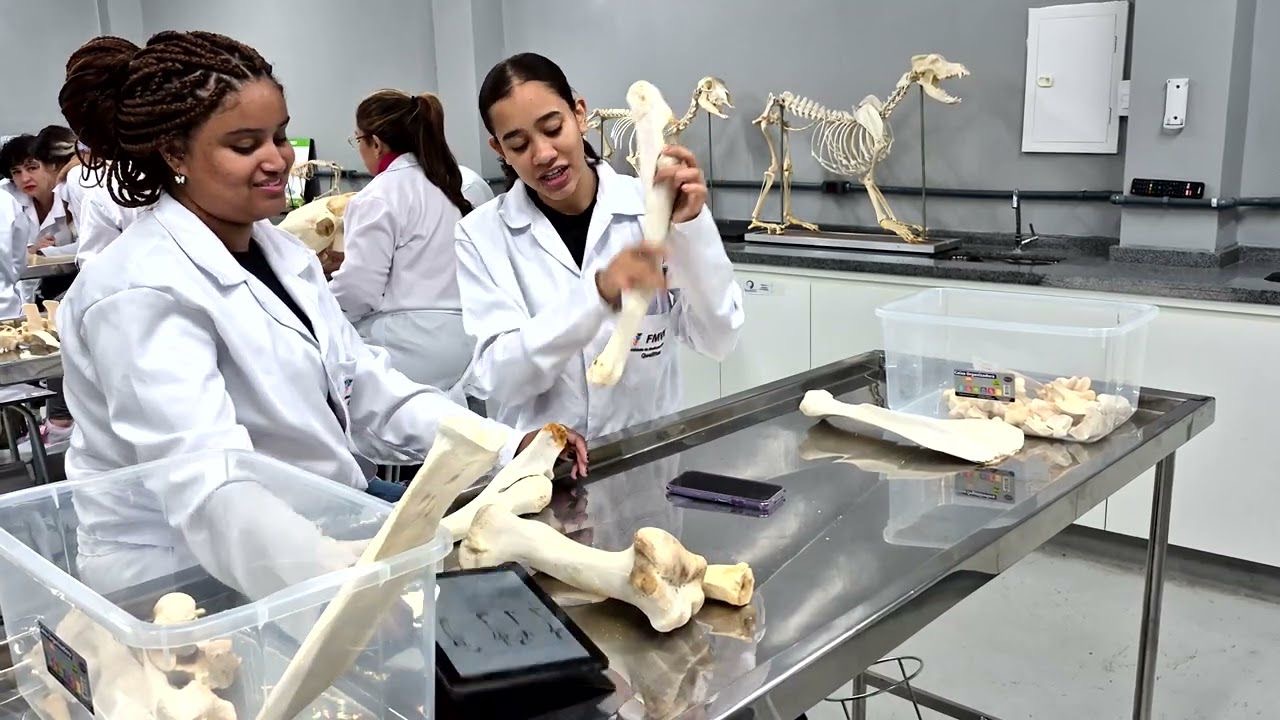 Veterinária em alta: Qualittas abre vestibular integral e noturno com prática desde o início