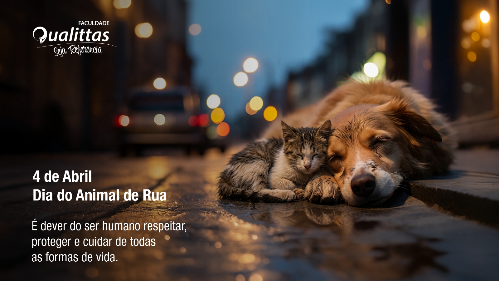 Brasil tem 30 milhões de animais de rua: por que o dia 4 de abril é um alerta urgente