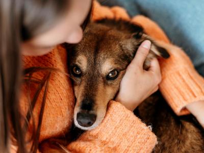 Abril Laranja: entenda o que configura maus-tratos a animais