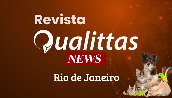 Aula da Semana: Núcleo Rio de Janeiro.