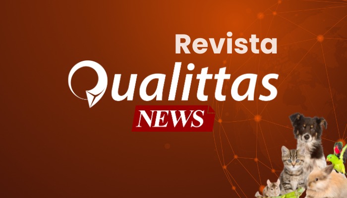 Aula da Semana: Núcleo São Paulo.