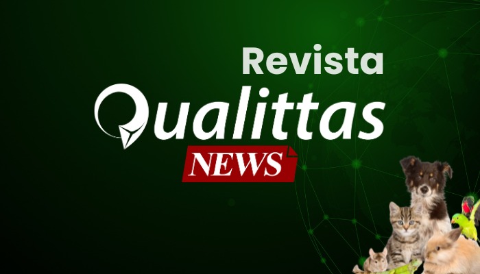 Aula da Semana: Núcleo São Paulo.