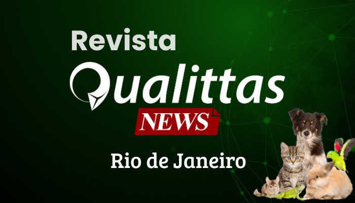 Aula da Semana: Núcleo Rio de Janeiro.