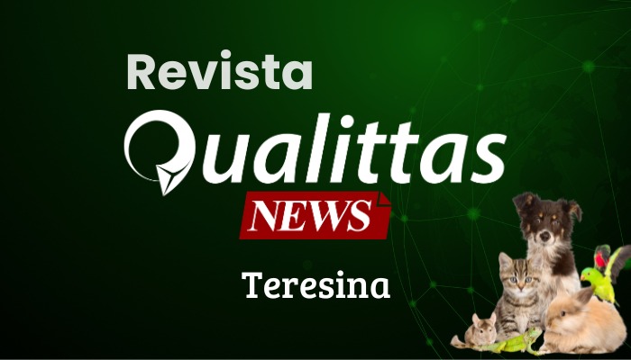 Aula da Semana: Núcleo Teresina.