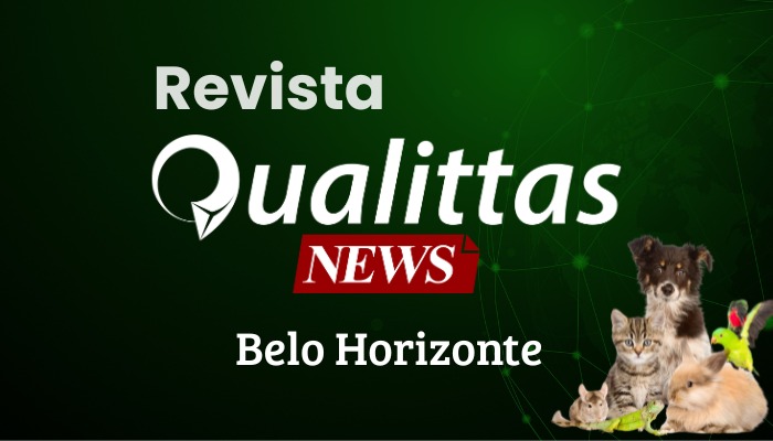 Aula da Semana: Núcleo Belo Horizonte.