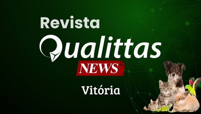 Aula da Semana: Núcleo Vitória.