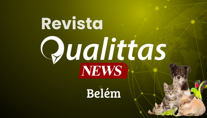 Aulas da Semana: Núcleo Belém.