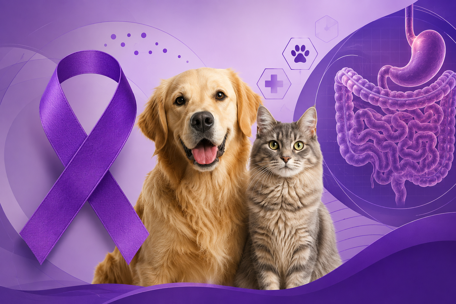 Maio Roxo alerta para doenças inflamatórias intestinais em cães e gatos e reforça importância da gastroenterologia veterinária
