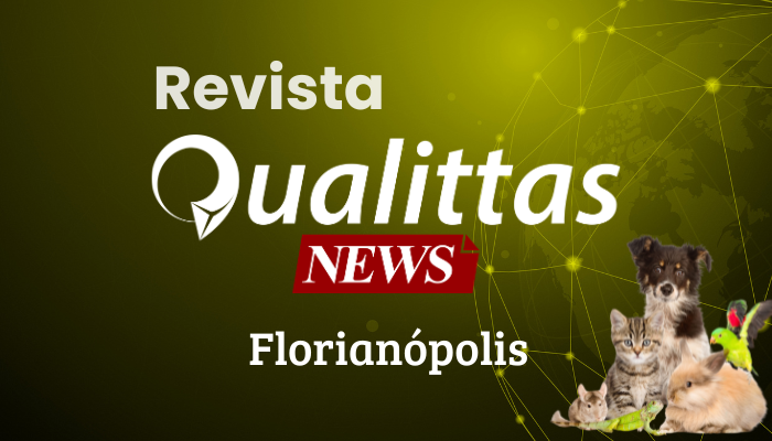 Aulas da semana: Núcleo Florianópolis.