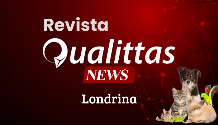 Aulas da Semana: Núcleo Londrina/PR