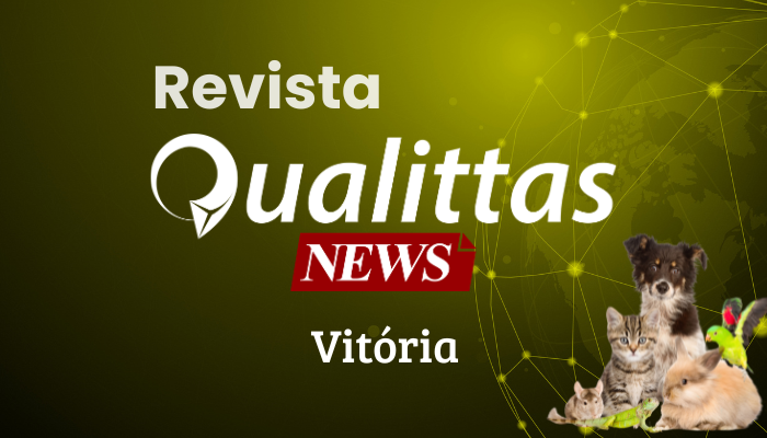 Aula da Semana: Núcleo Vitória.