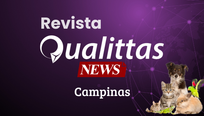 Aulas da Semana: Núcleo Campinas/SP
