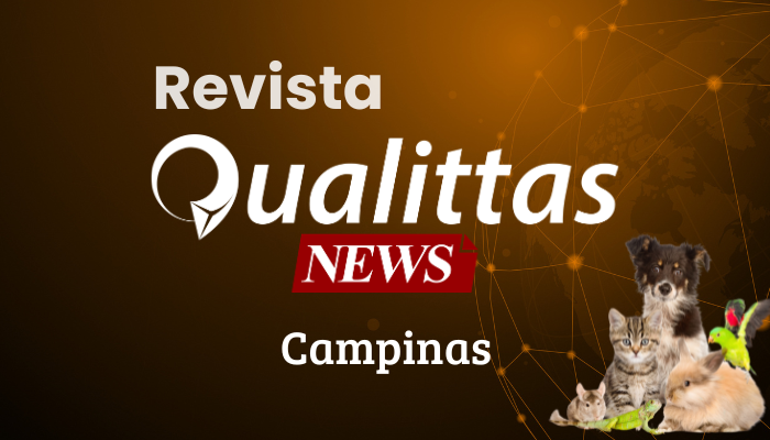 Aulas da Semana: Núcleo Campinas/SP