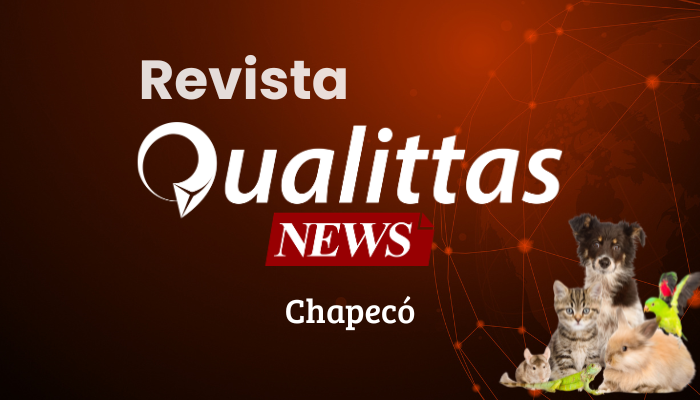 Aulas da Semana: Núcleo Chapecó/SC