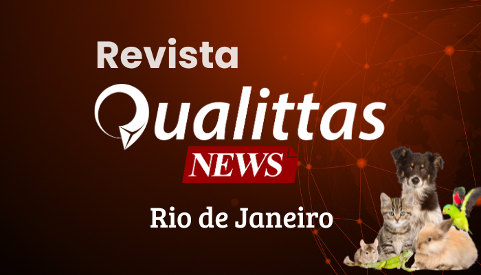 Aulas da Semana: Núcleo Rio de Janeiro/RJ