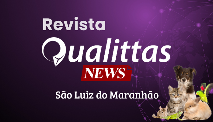 Aulas da Semana: Núcleo São Luis/MA