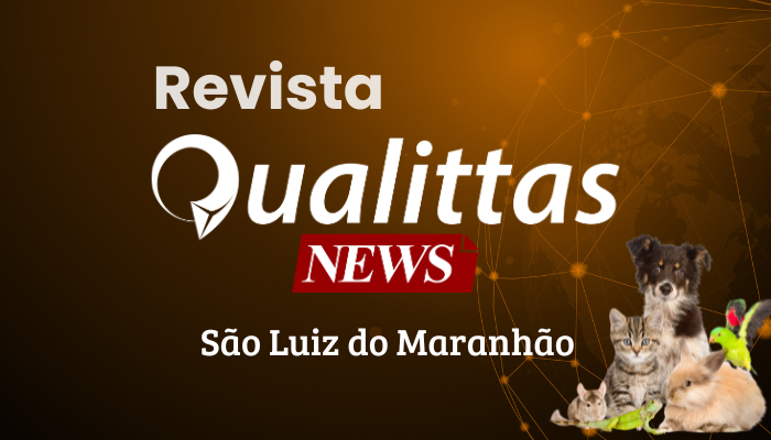 Aulas da Semana: Núcleo São Luis/MA