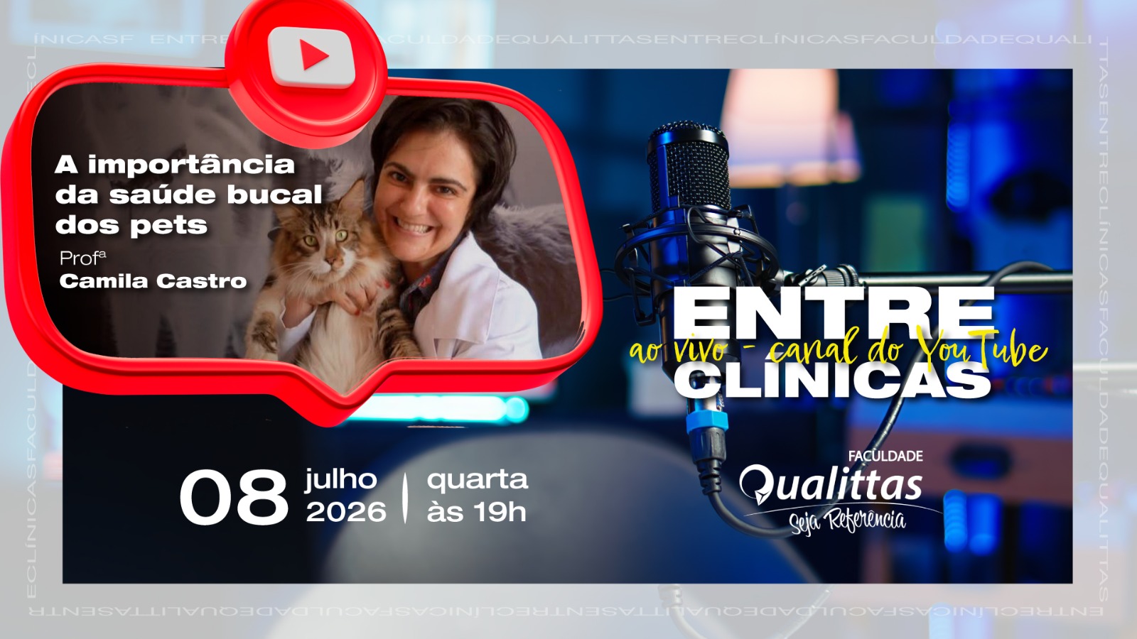 Saúde bucal dos pets: por que médicos veterinários precisam dominar a odontologia veterinária?
