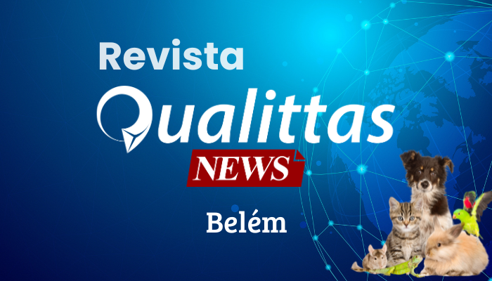 Aulas da Semana: Núcleo Belém/PA