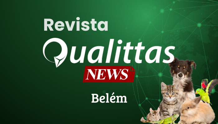 Aulas da Semana: Núcleo Belém/PA