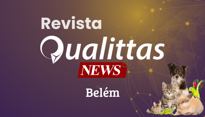 Aulas da Semana: Núcleo Belém/PA