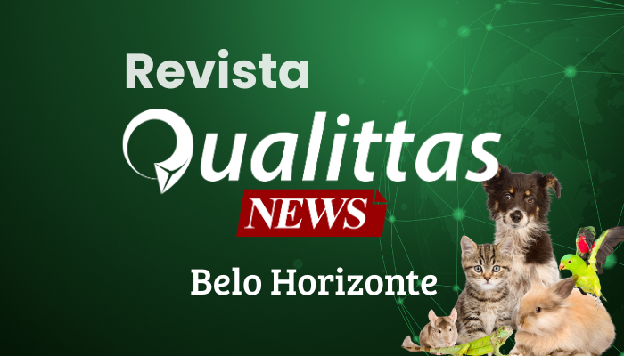 Aulas da Semana: Núcleo Belo Horizonte/MG
