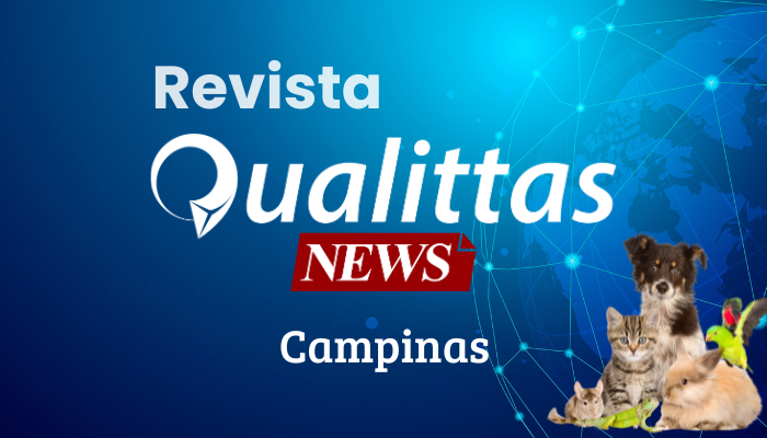 Aulas da Semana: Núcleo Campinas/SP