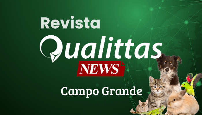 Aulas da Semana: Núcleo Campo Grande/MS