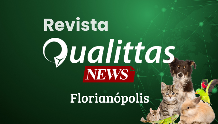 Aulas da Semana: Núcleo Florianópolis/SC