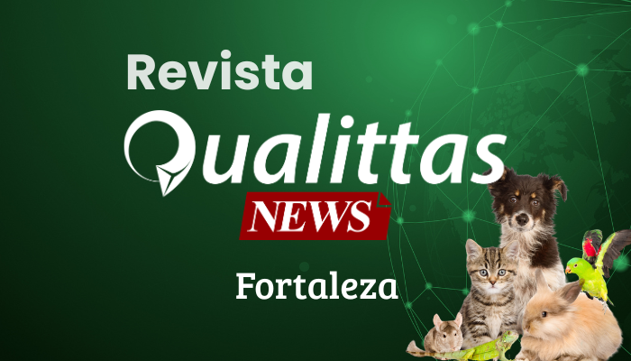 Aulas da Semana: Núcleo Fortaleza/CE