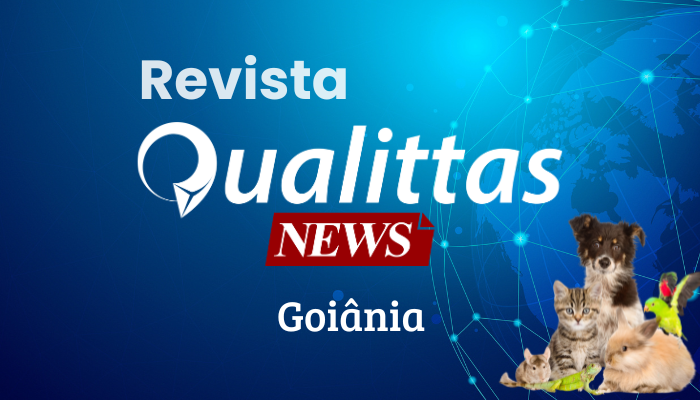 Aulas da Semana: Núcleo Goiânia/GO