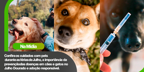 Qualittas amplia presença na mídia com orientações sobre Julho Dourado, férias de julho e combate ao abandono de pets