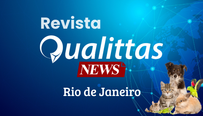 Aulas da Semana: Núcleo Rio de Janeiro/RJ