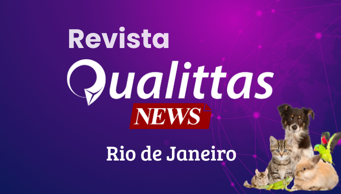 Aulas da Semana: Núcleo Rio de Janeiro/RJ