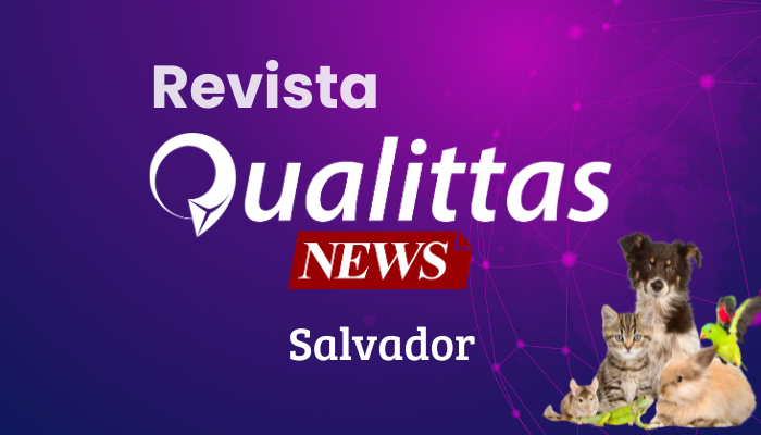 Aulas da Semana: Núcleo Salvador/BA