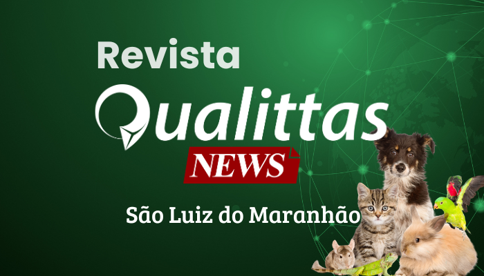 Aulas da Semana: Núcleo São Luís/MA