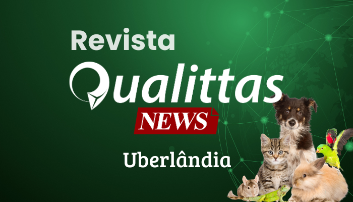 Aulas da Semana: Núcleo Uberlândia/MG