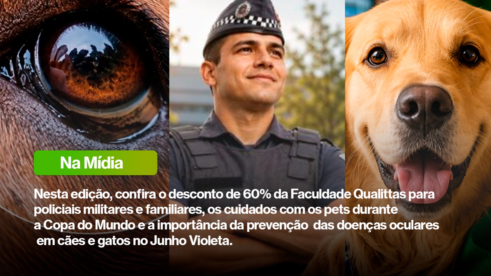 Qualittas amplia presença na mídia com campanhas de saúde animal, orientações para a Copa do Mundo e incentivo à formação em Medicina Veterinária