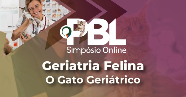 Simpósio on-line gratuito promove atualização prática sobre o envelhecimento felino