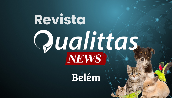 Aulas da Semana: Núcleo Belém/PA