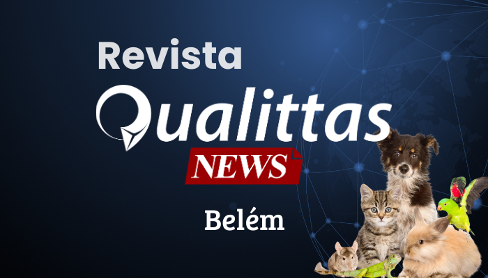 Aulas da Semana: Núcleo Belém/PA