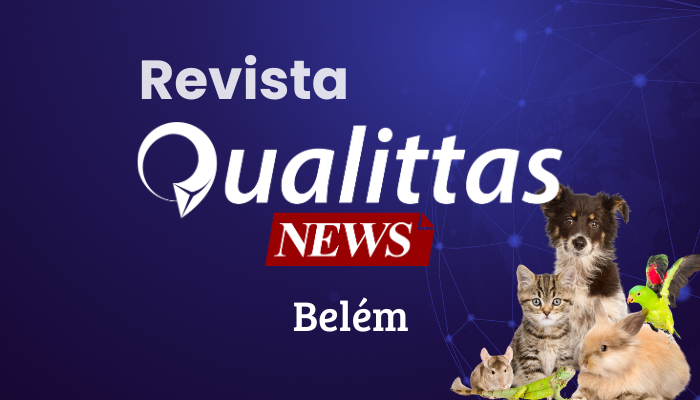 Aulas da Semana: Núcleo Belém/PA