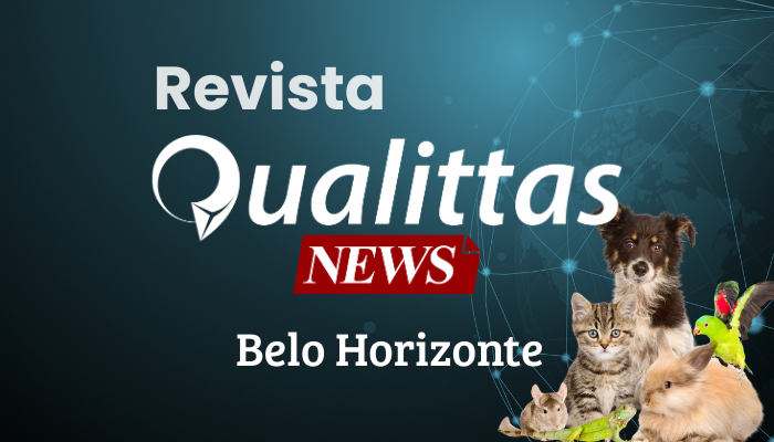 Aulas da Semana: Núcleo Belo Horizonte/MG