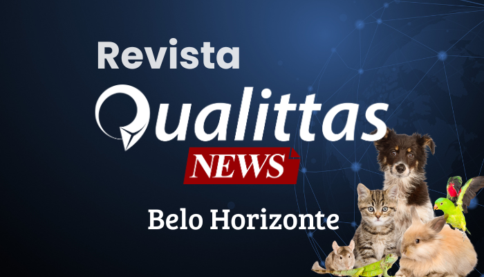 Aulas da Semana: Núcleo Belo Horizonte/MG
