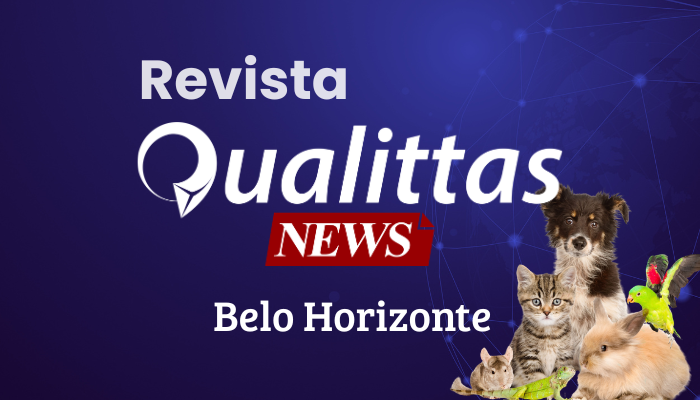 Aulas da Semana: Núcleo Belo Horizonte/MG