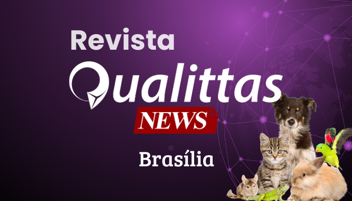 Aulas da Semana: Núcleo Brasília/DF