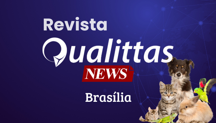 Aulas da Semana: Núcleo Brasília/DF